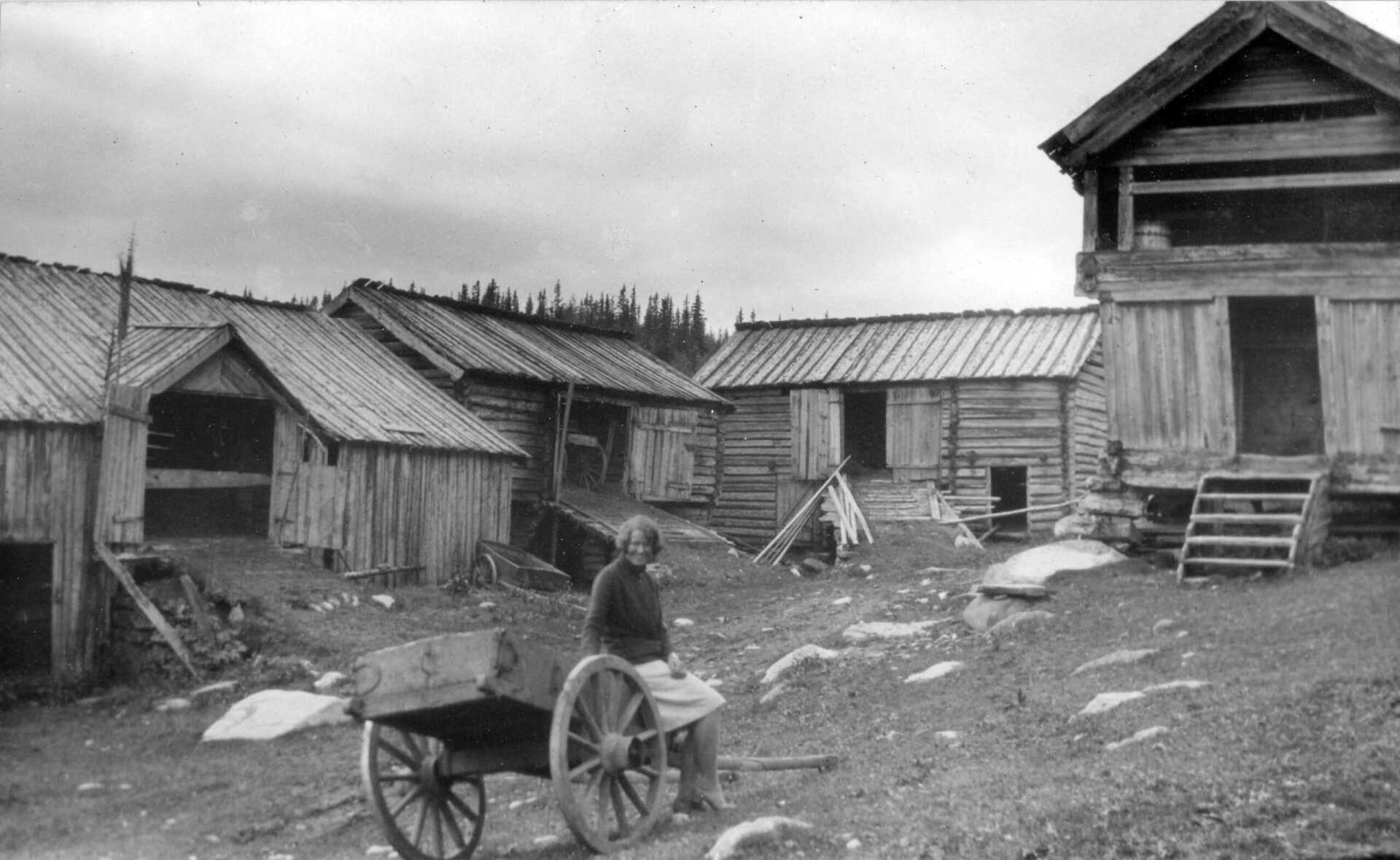 The farm outbuildings and a hay cart, in an old photograph