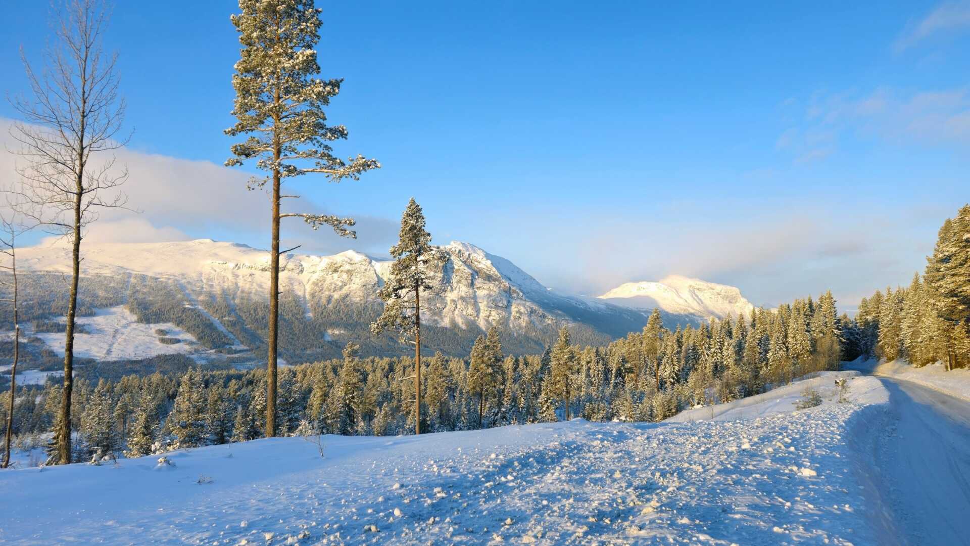 A snowy road running towards the mountain
